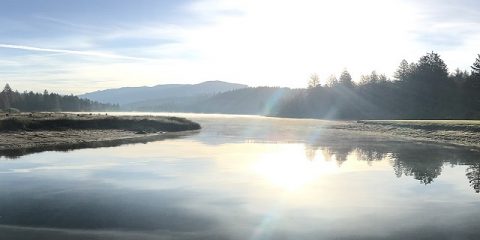 Trend Campingurlaub: Die besten Tipps für Camping-Neulinge