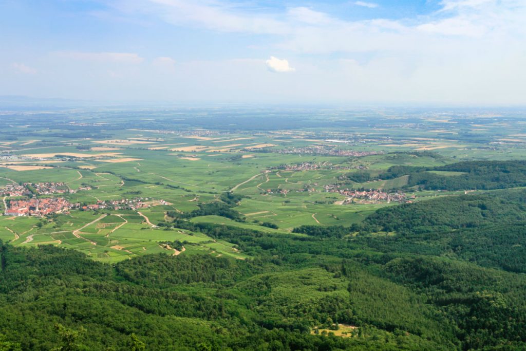 Naturpark Nordvogesen