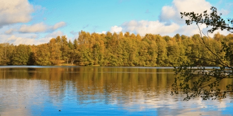 Meine Top 5: Welcher ist der schönste See in und um Berlin?