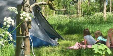 5 einzigartige Campingplätze in den Niederlanden