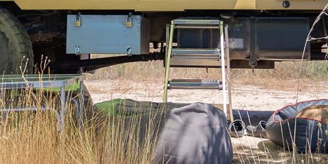 Camping mit Hund: Ratgeber für den perfekten Hundeurlaub