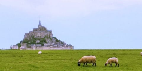 Eine Perle Nordfrankreichs: Le Mont-Saint-Michel