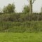 Was Camping auf dem Bauernhof so reizvoll macht!