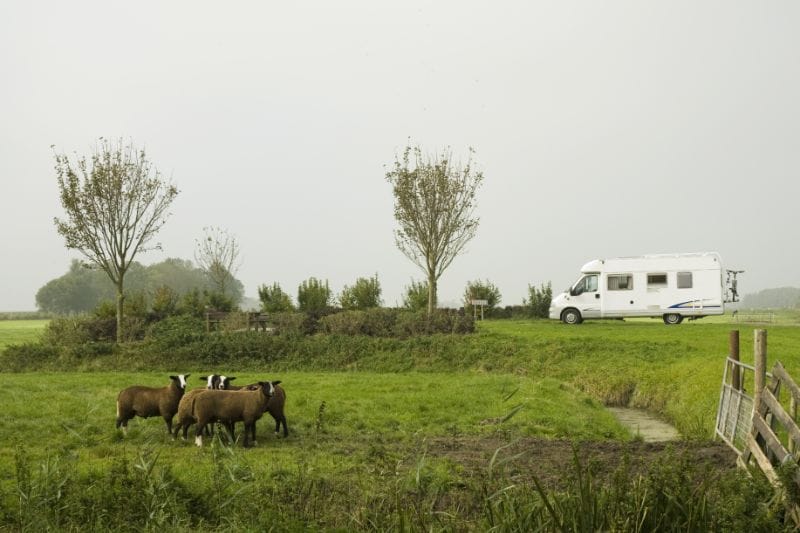 Camping auf dem Bauernhof