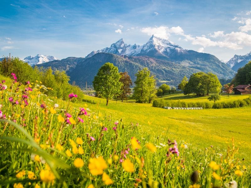 Camping in der Nebensaison: Alpenwiese im Frühling