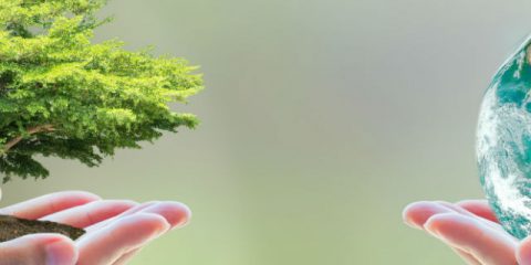 Ein grüner Urlaub – 5 Tipps für umweltfreundliches Camping