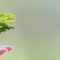 Ein grüner Urlaub – 5 Tipps für umweltfreundliches Camping