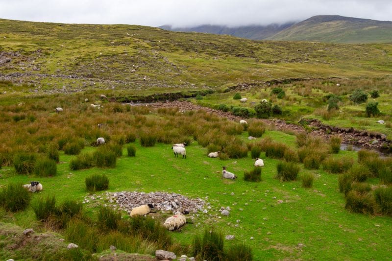 Die englischen Grünen Routen, die sogenannten Greenways, führen durch prächtige, typisch britische Landschaften.