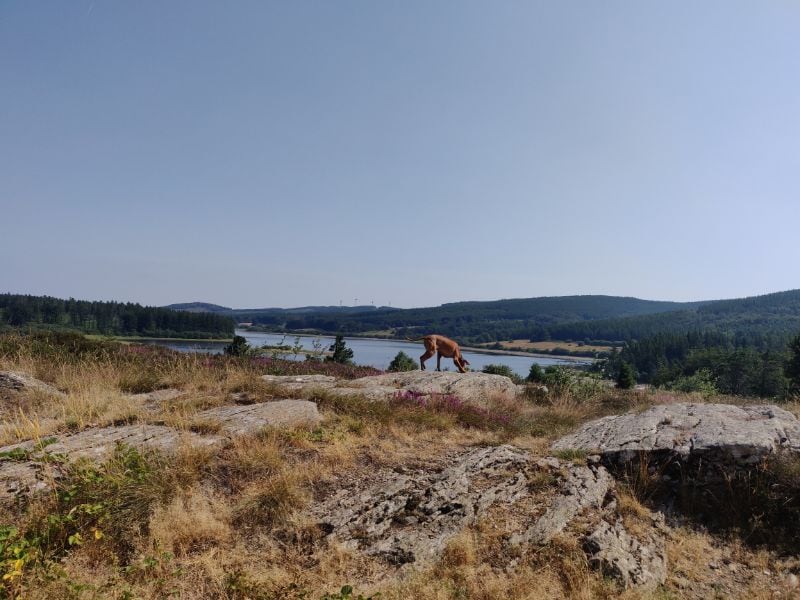 Wer Natur, Ruhe, Wandern oder Radfahren liebt, sollte den Haut-Languedoc unbedingt in seine Wunschliste aufnehmen.