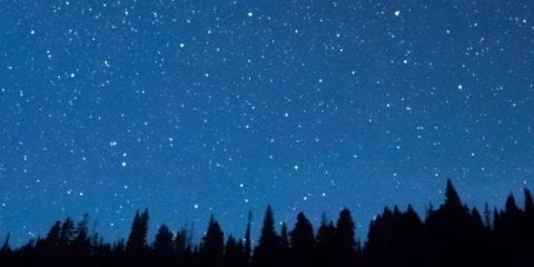 6 Camping-Spiele für Abend und Dunkelheit