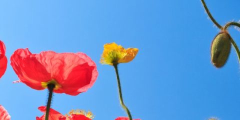 Campingurlaub im Frühjahr – aber wohin?