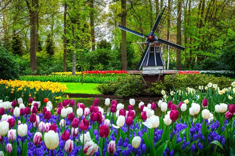 Der farbenfrohe Keukenhof in seiner vollen Pracht.