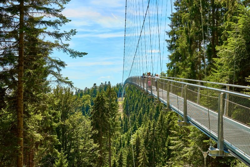 Wildline Hängebrücke im Nordschwarzwald