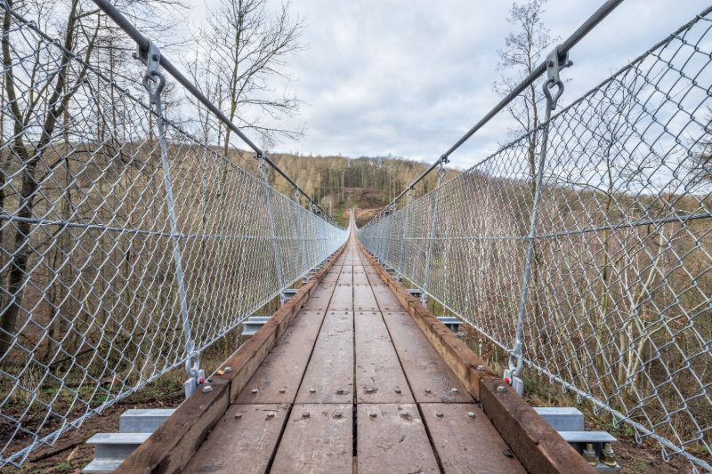 Hängeseilbrücke im Bärental in Thüringen