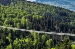 Hängebrücke Deutschland