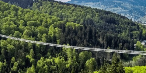 Die 8 abenteuerlichsten Hängebrücken in Deutschland