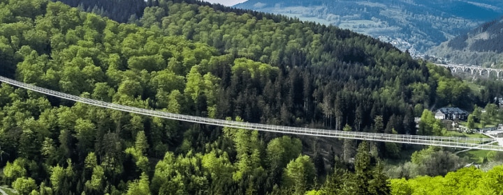 Hängebrücke Deutschland