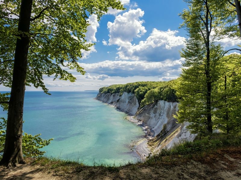 Kreidefelsen Rügen