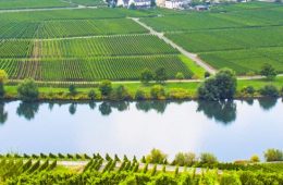 Mosel header