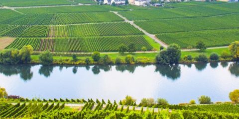 Camping am Fluss: Die schönsten Campingplätze Deutschlands