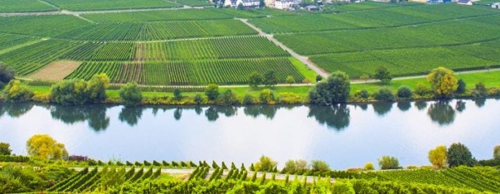 Mosel header