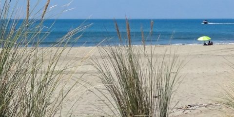 Die 7 schönsten Strände in Zeeland