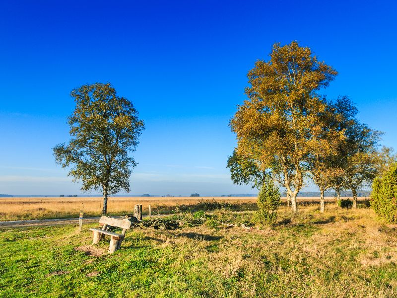 Nationalpark Dwingerveld