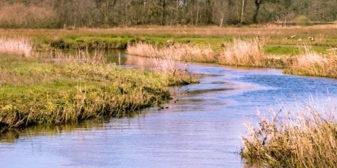 Urlaub im Norden der Niederlande – Tipps von Guido