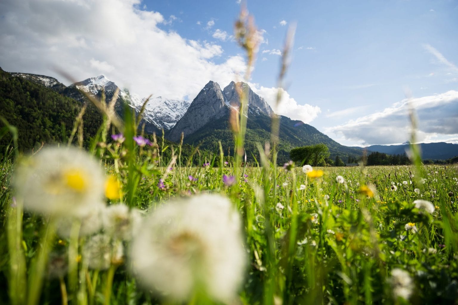 Zugspitze