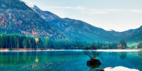 Bayerischer Wald: Die besten Ausflugsziele