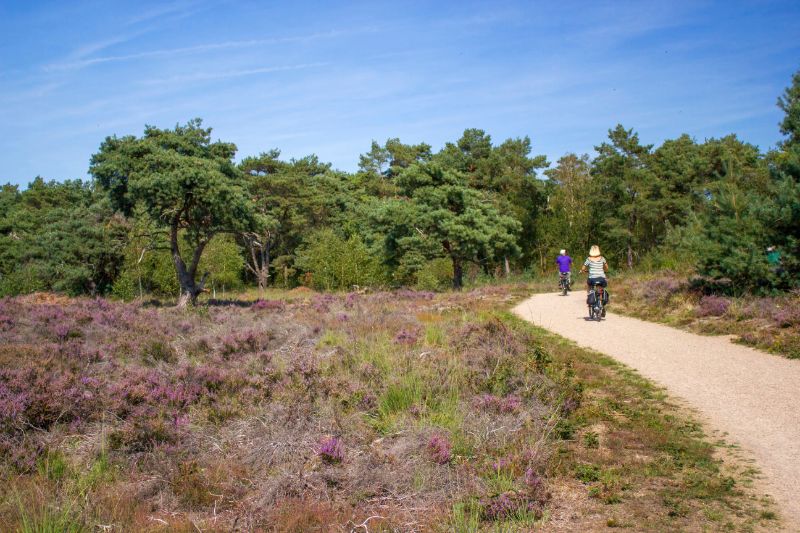 Maasduinen Limburg