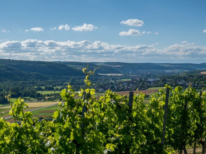 Weinberge im Taubertal