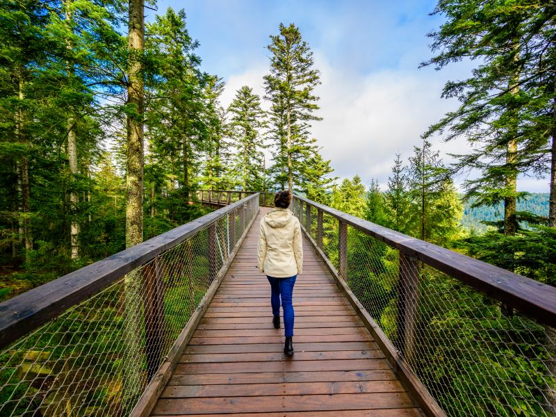 Not afraid of heights? Then take a high-altitude hike between the treetops of the Black Forest.