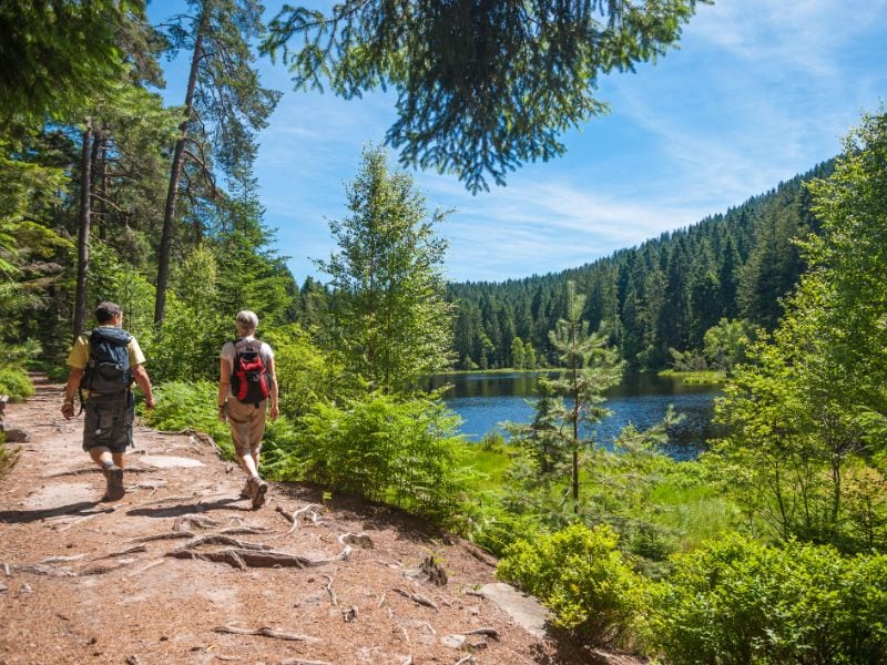 Des sentiers de randonnée idylliques