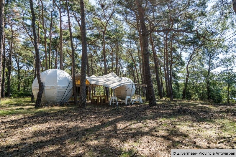 Besondere Glamping-Unterkünfte: Kokon Campingplatz Zilvermeer