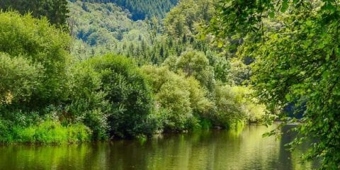 Die schönsten Campingplätze in den belgischen Ardennen