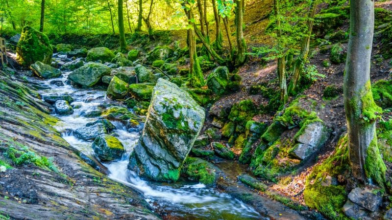 Fluss Ninglinspo Fluss Ninglinspo