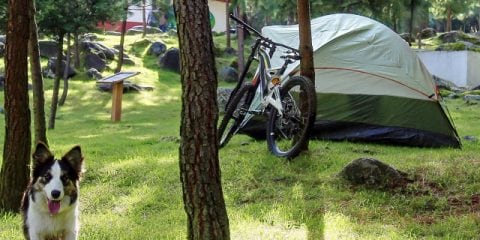 6 besondere Themen-Campingplätze: Hier finden Sie sie!