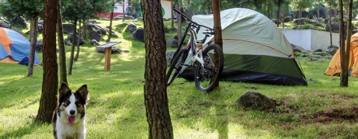 Gespecialiseerde campings