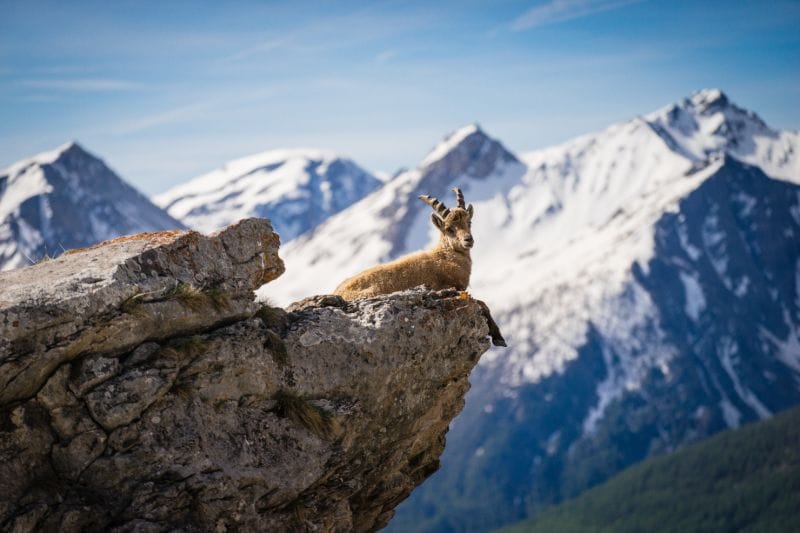 Französische Alpen Nationaal Park Écrins