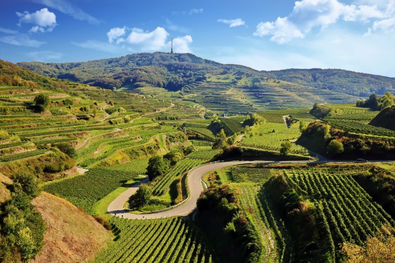 Kaiserstuhl - wärmste Region Deutschlands