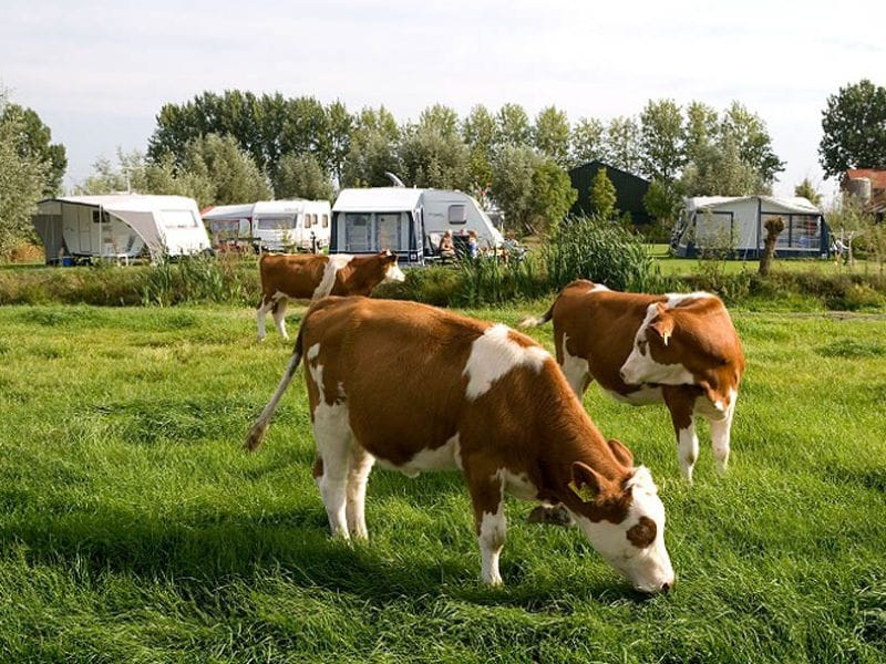 Camping an Himmelfahrt