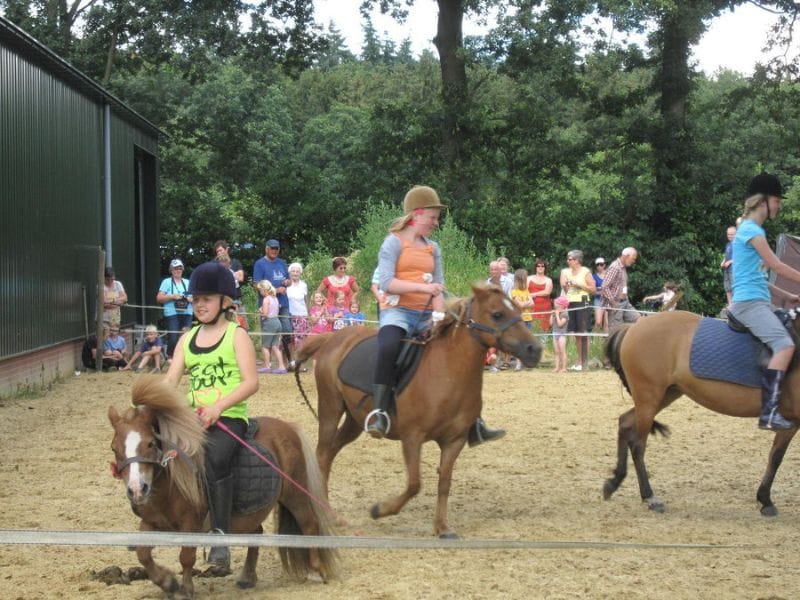 Bauernhof-Camping in den Niederlanden mit Ponyreiten