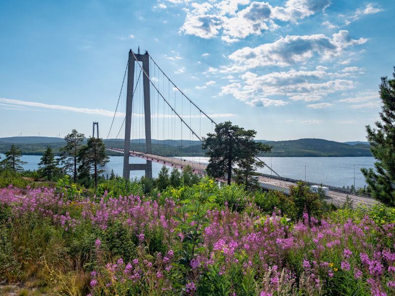 Entlang der 'Höga Kusten' zurück Richtung Südschweden