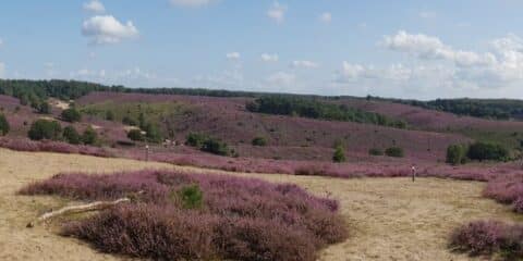 Naturcamping in den Niederlanden – Tipps und Campingplätze