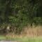 Camping in den Ardennen auf der ACSI FreeLife TestTour