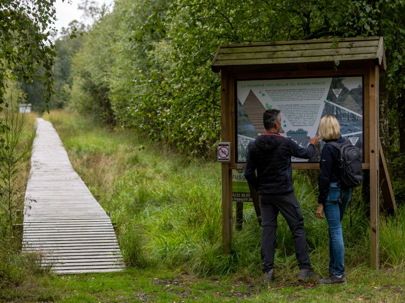 wandern in den Wäldern um Saint-Hubert