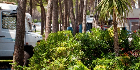 Wie bekommt ein Campingplatz seine Sterne?