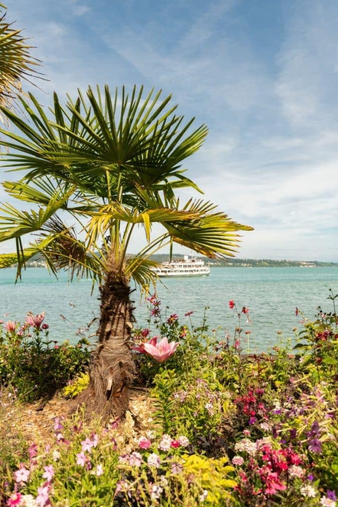 Insel Mainau im Bodensee – exotisches Flair und üppige Natur auf der Blumeninsel