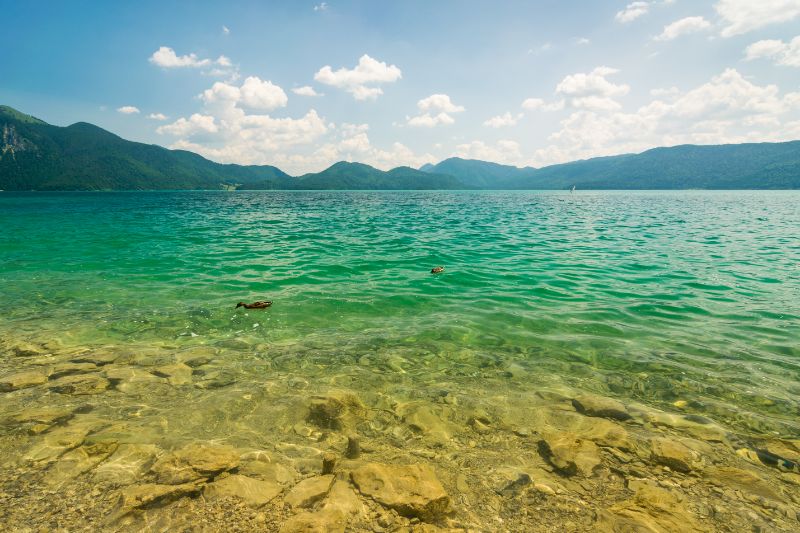 Der Walchensee besticht mit einer Wasserklarheit, die ihresgleichen sucht.